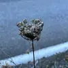Delaney - @delaney.mccarthy - TikTok
