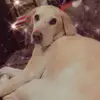 Delaney McCarthy - @delaney25 - TikTok