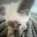 Delaney McKee - Facebook