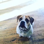 Delaney Mckeen - @delaney_mckeen_15 - Instagram