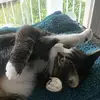 delaneynelson - @tictocwizard123 - TikTok