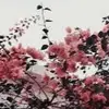 Nyeema Delaney940 - @nyeemadelaney - TikTok