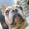 Delano Davis - @delano.davis7 - TikTok