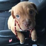 Delbert Adkins - @delbertadkins - Instagram