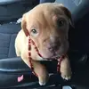 Delbert Adkins - @delbertadkins - TikTok