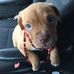 Delbert Adkins - Facebook