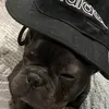 Delbert - @del._.bert - TikTok
