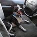 Delbert Danforth - Facebook