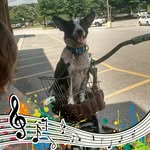Delbert Danforth - @delbertdanforth - Instagram