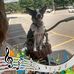 Delbert Danforth - Facebook