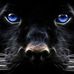 Delbert Daugherty - Facebook