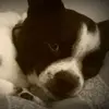 delbert.doylebradfor - @delbert.doylebrad - TikTok