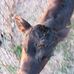 Delbert Ferguson - Facebook