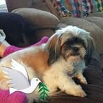 Delbert Funk - @delbert.funk - Instagram