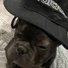 Delbert - @del._.bert - TikTok
