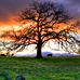 Delbert Garner - Facebook