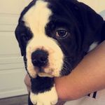George Delbert - @georgedelbert - Instagram