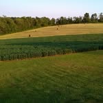 Delbert Green - @delbert.green - Instagram
