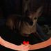 Greg Tolbert - Facebook