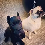 Delbert and Gunny - @delbertandgunny - Instagram