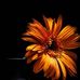 Queen Deejert - Facebook