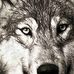 Delbert Hamrick - Facebook