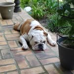 Delbert Herman - @thepurplelove2020 - Instagram