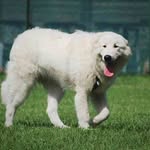 Delbert Hill - @delberthill10 - Instagram