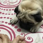 Natalie - @delberthillqyo15304 - Instagram