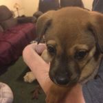 Delbert Hoopaugh - @gamecockdel - Instagram