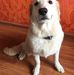 Delbert Hosemann - Facebook