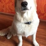 Delbert Hosemann - @delberthosemann6 - Instagram