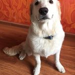 Delbert Hosemann - @delberthosemann07 - Instagram