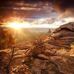 Desert Hab - Facebook