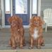 Delbert Krause - Facebook