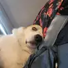delbertmiller6 - @delbertmiller6 - TikTok
