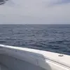 Delbert Moore - @delbert.moore - TikTok