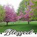 Delbert Parks - Facebook