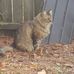 Delbert Parrish - Facebook