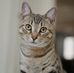 Delbert Pierce - Facebook