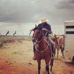 Delbert Richardson Jr - @jr_richardson__ - Instagram