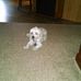 Delbert Shelton - Facebook