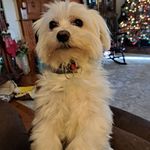 Delbert Snyder - @delbertsnyder9612 - Instagram