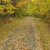 Delbert Stewart - Facebook
