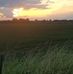 Delbert Yoder - Facebook