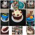 Delene Peterson - Facebook