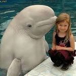 Delfin Blanco - @delfineses07 - Instagram