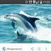 Delfin Blanco - Facebook