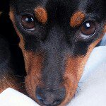 @delfinblanco - Instagram