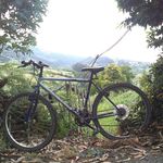 @delfinblanco_ - Instagram